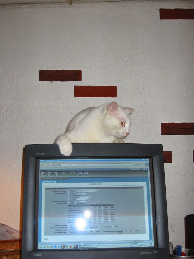 Jer Chapman at his desk